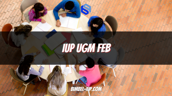 IUP UGM FEB: Program, Kurikulum, Biaya, dan Peluang Karier Internasional