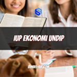 IUP Ekonomi UNDIP: Kuliah Ekonomi Standar Internasional Tanpa Harus ke Luar Negeri?