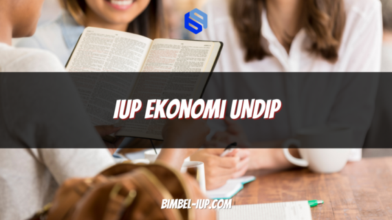 IUP Ekonomi UNDIP: Kuliah Ekonomi Standar Internasional Tanpa Harus ke Luar Negeri?